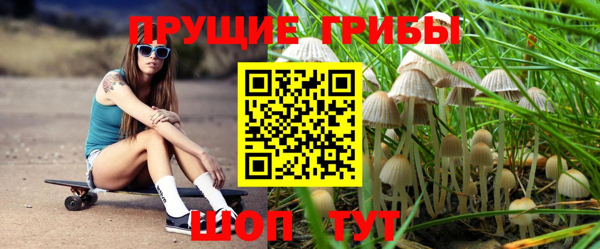 Галлюциногенные грибы Cubensis  Вход с VPN  купить закладку  Ипатово  Галлюциногенные грибы мицелий 