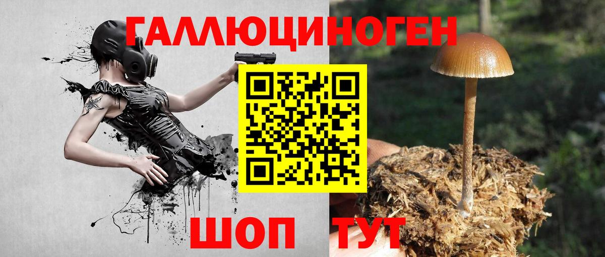 Галлюциногенные грибы прущие грибы Ипатово